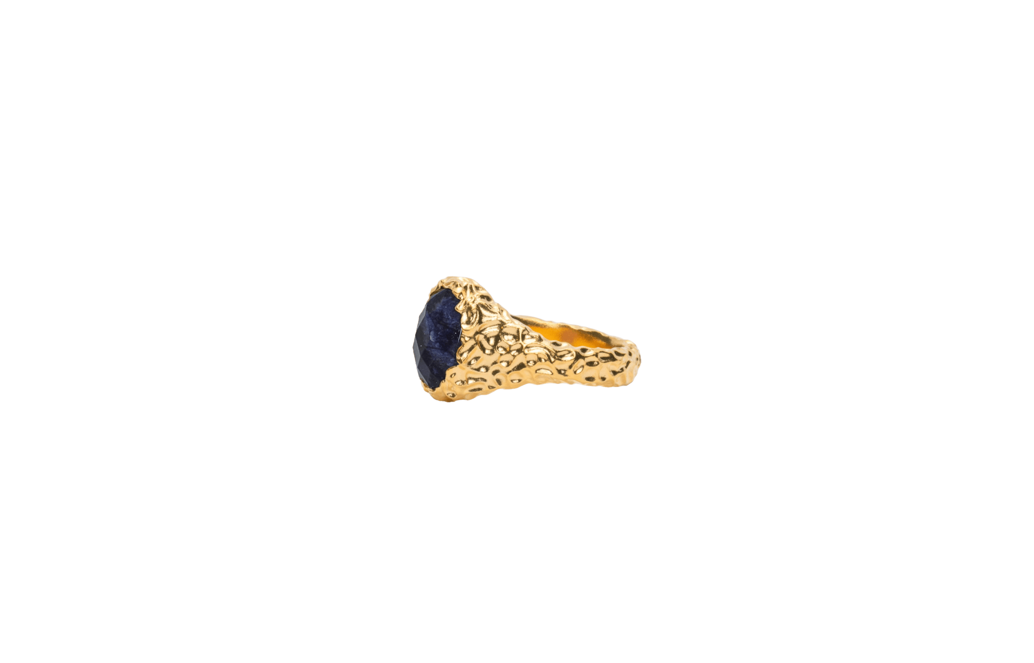 IX Crunchy Ornate Blue Sodalite Signet Ring