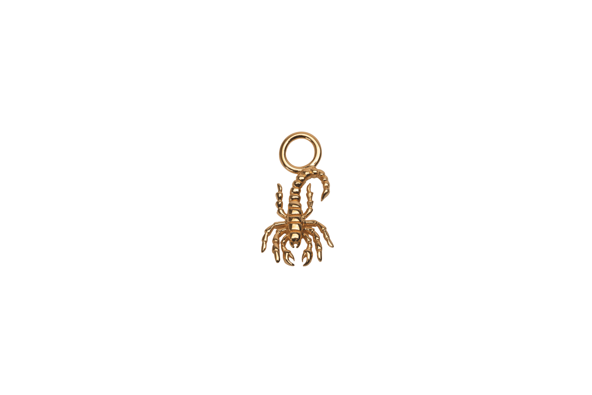 IX Scorpion Charm