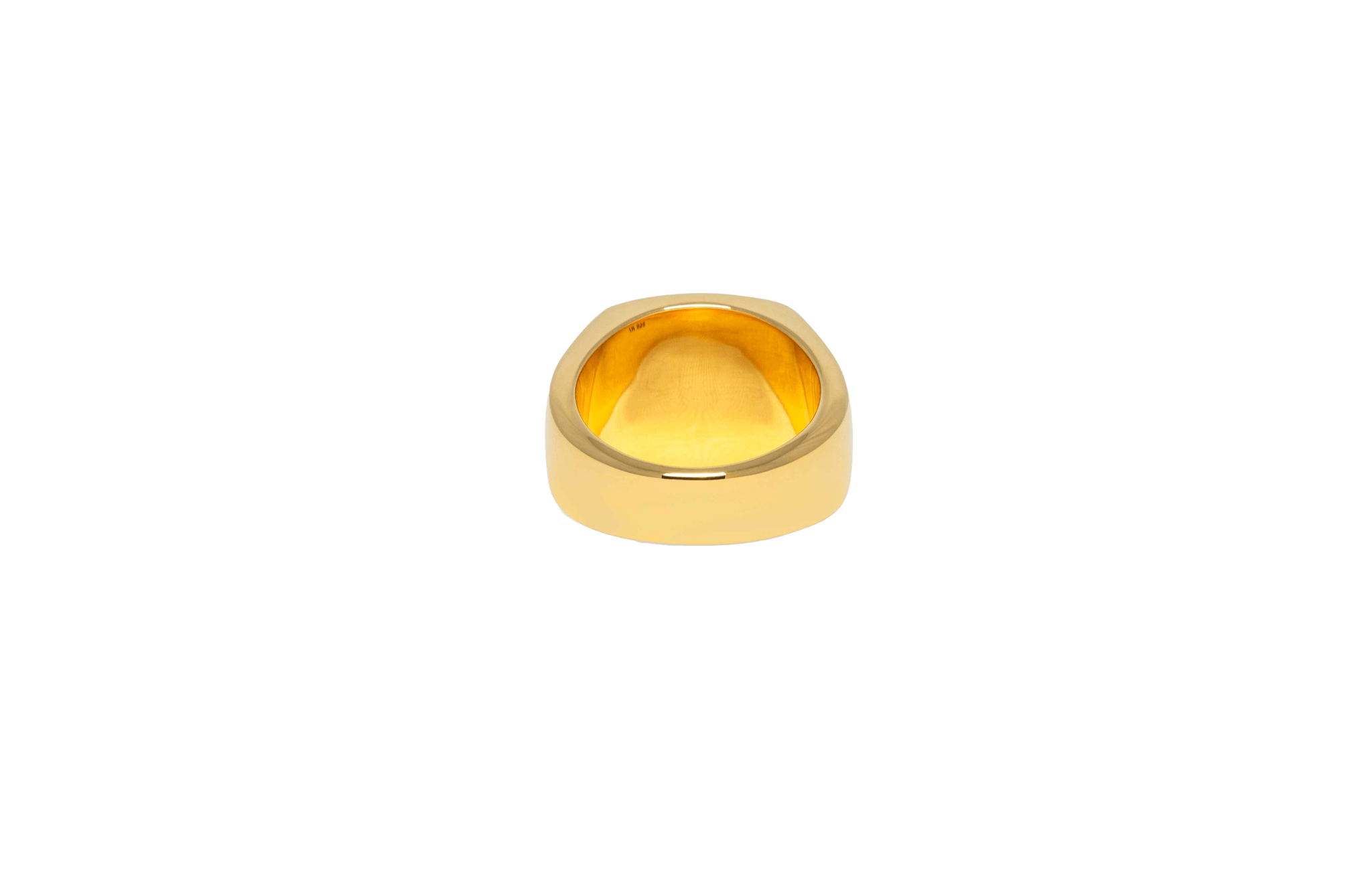 IX Family Crest Signet Ring